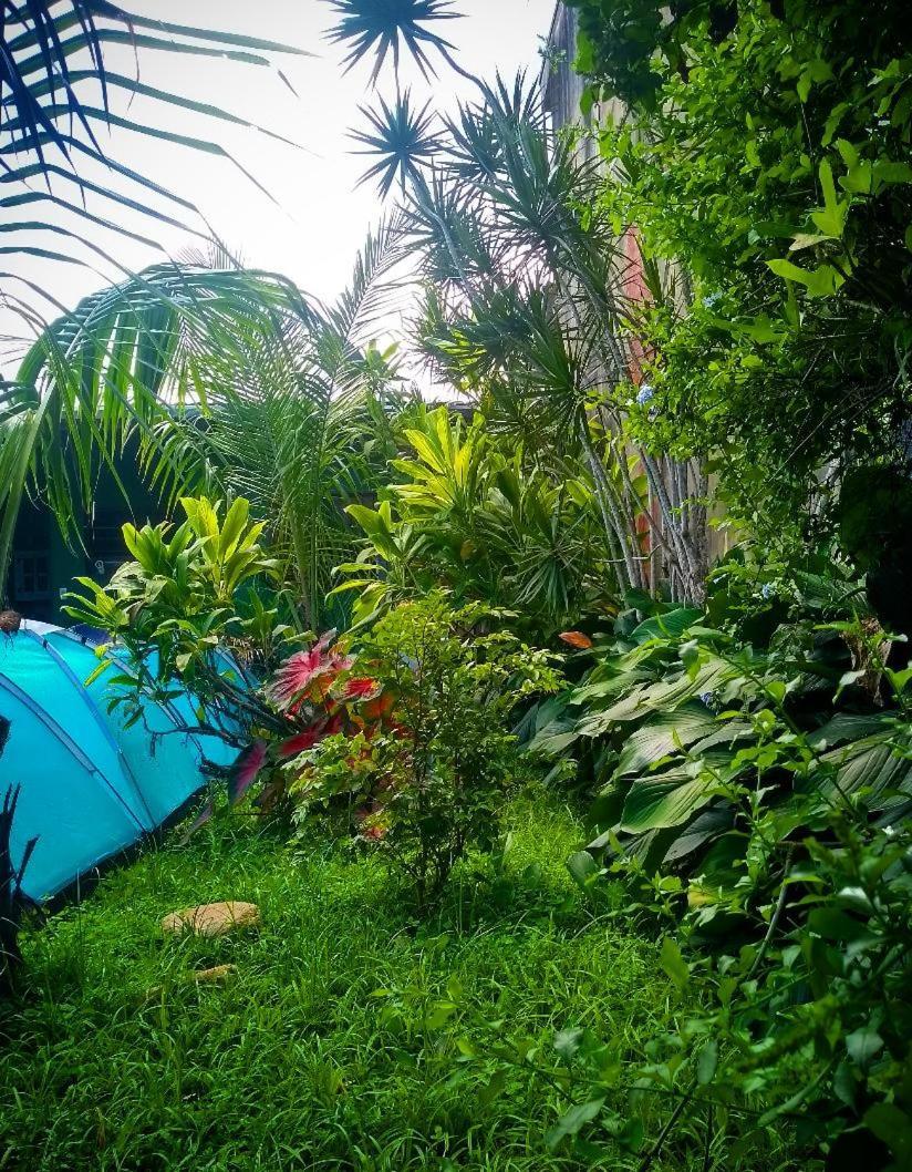 Tie Itagua Ubatuba